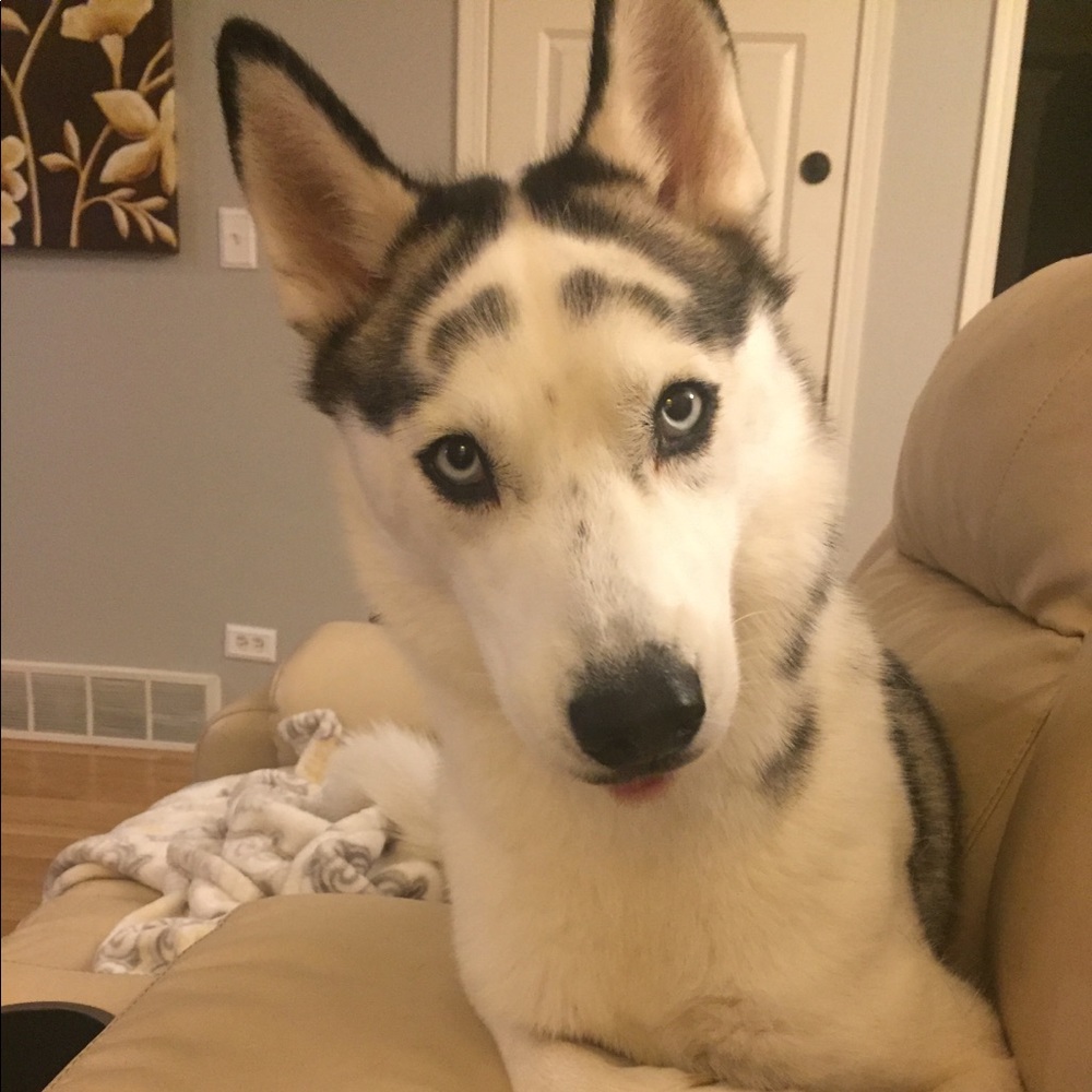 Meet your Posher, Jennifer